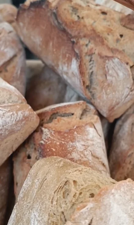 1773233685861-Captura de ecrã 2026-03-11 125349.webp