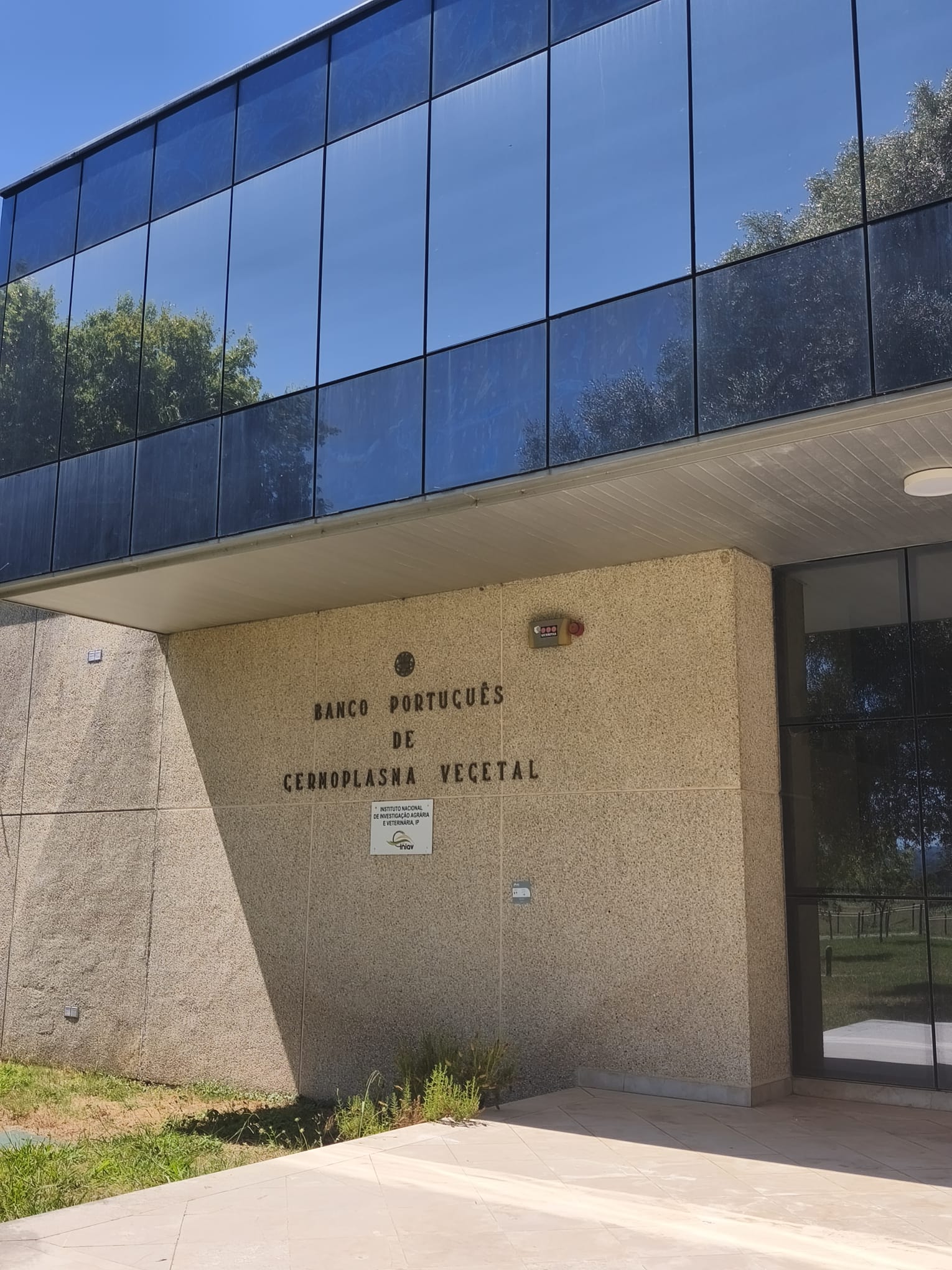 Da semente ao futuro do Pão Português: Plataforma Nacional do Pão visita o Banco Português de Germoplasma Vegetal