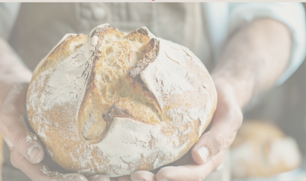 Do Grão ao Pão: Comunidade, Território e Futuro