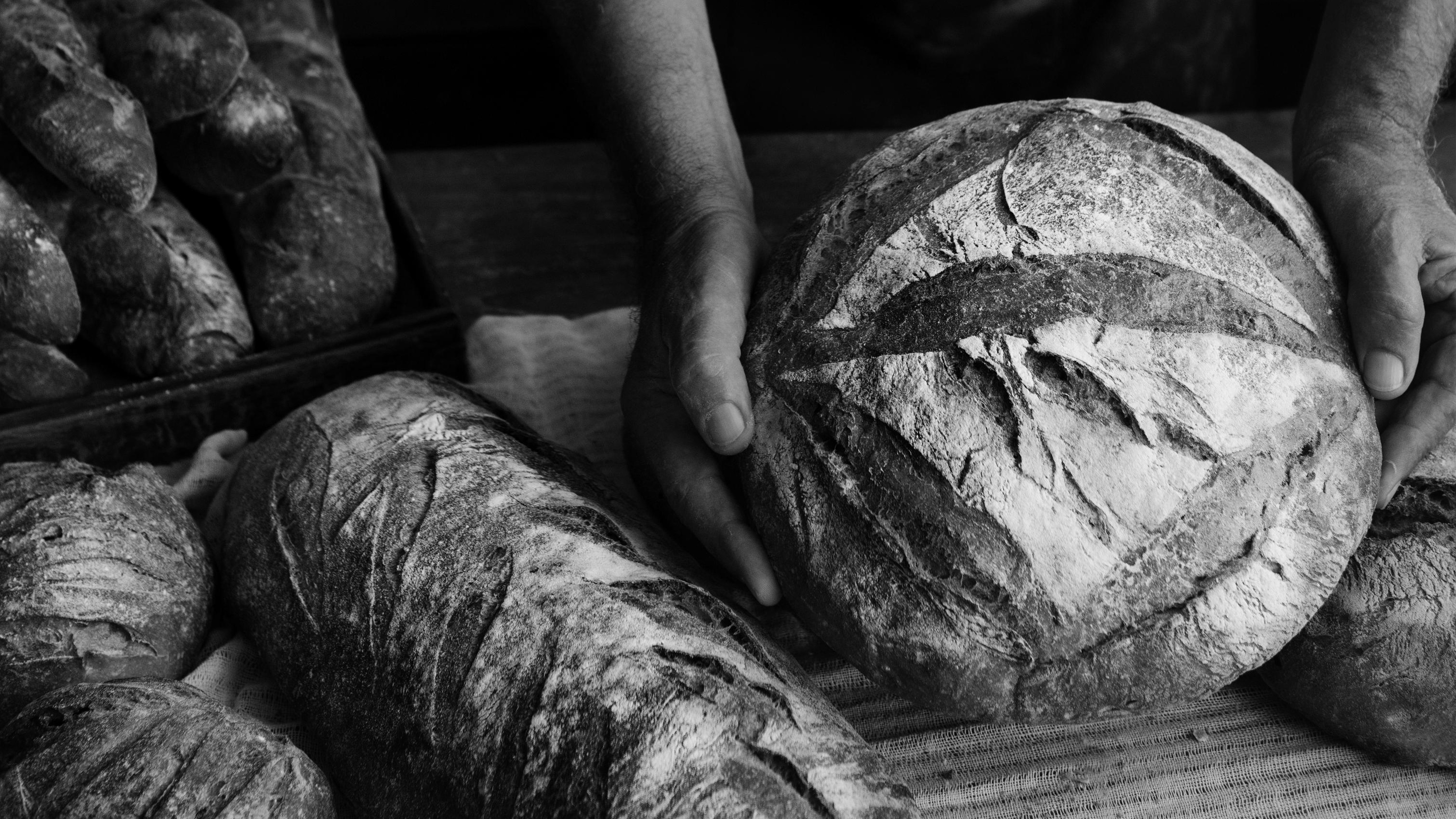 Terras de Pão, Gente de Paz